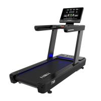 Беговая дорожка Insight Fitness T300 (LED)